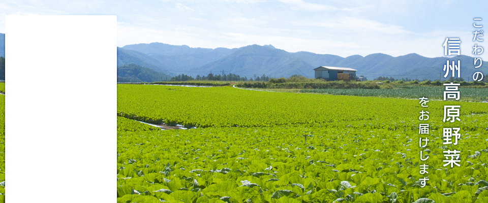 こだわりの信州高原野菜をお届けします